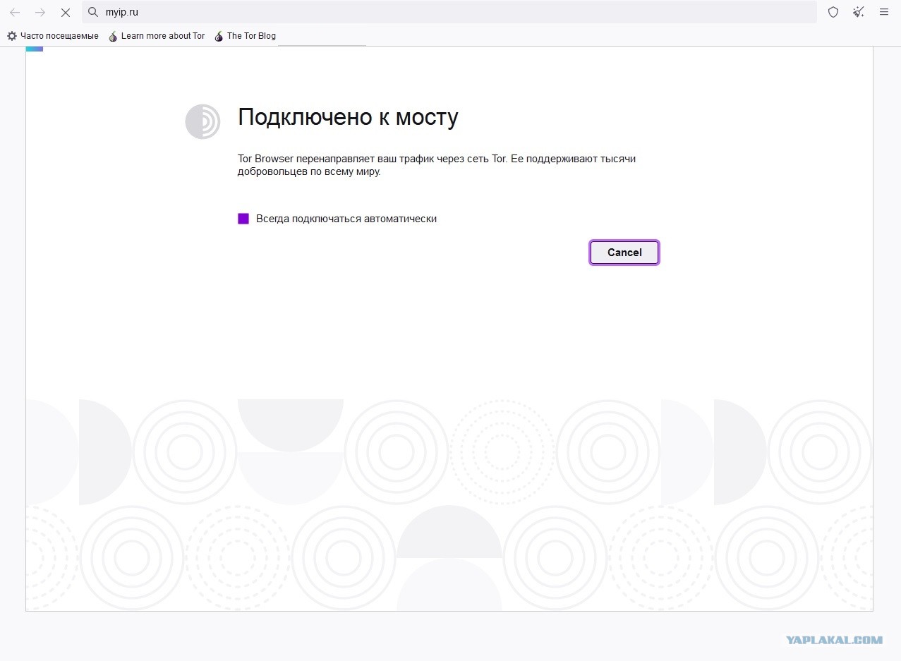 Что за приложение кракен