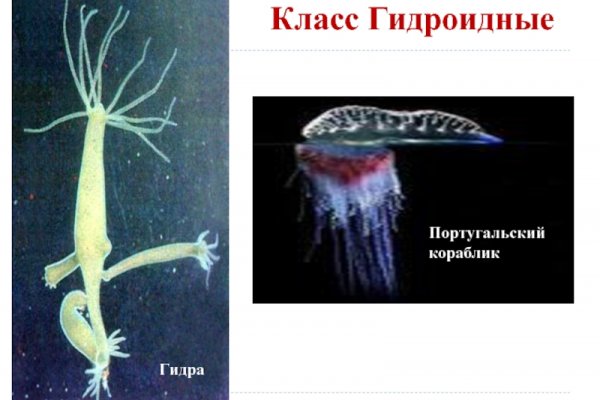 Kraken darknet market зеркало