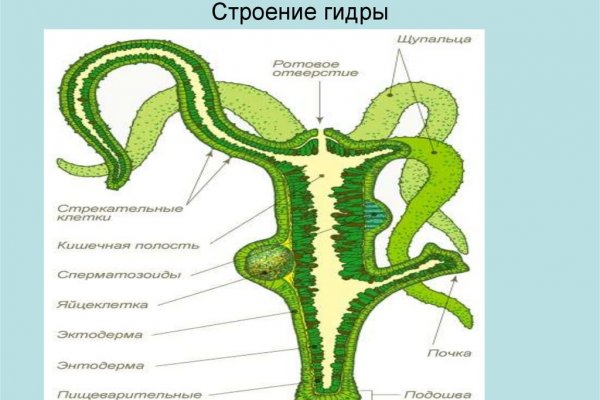 Кракен актуальные