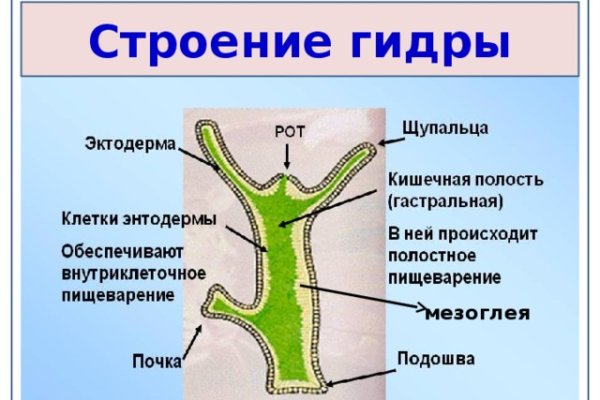 Kra47.at