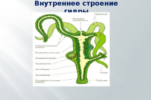 Кракен сайт биз