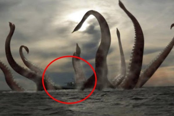 Kraken ссылка на сайт актуальная