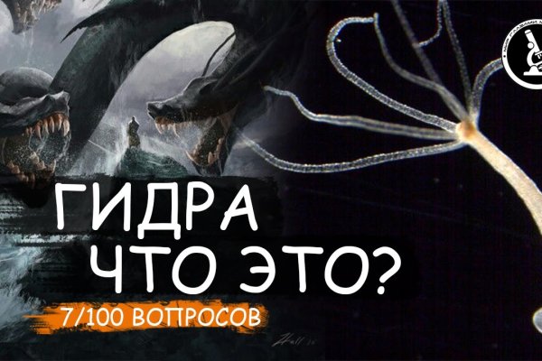 Как выводить деньги с кракена