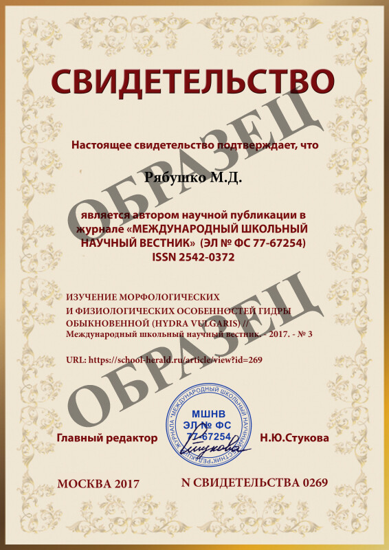 Как найти кракен шоп