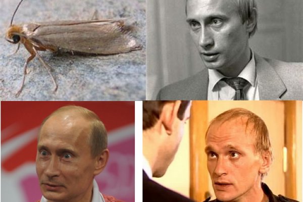 Что такое кракен магазин