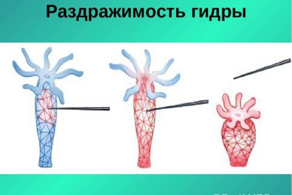 Оригинальная ссылка на кракен